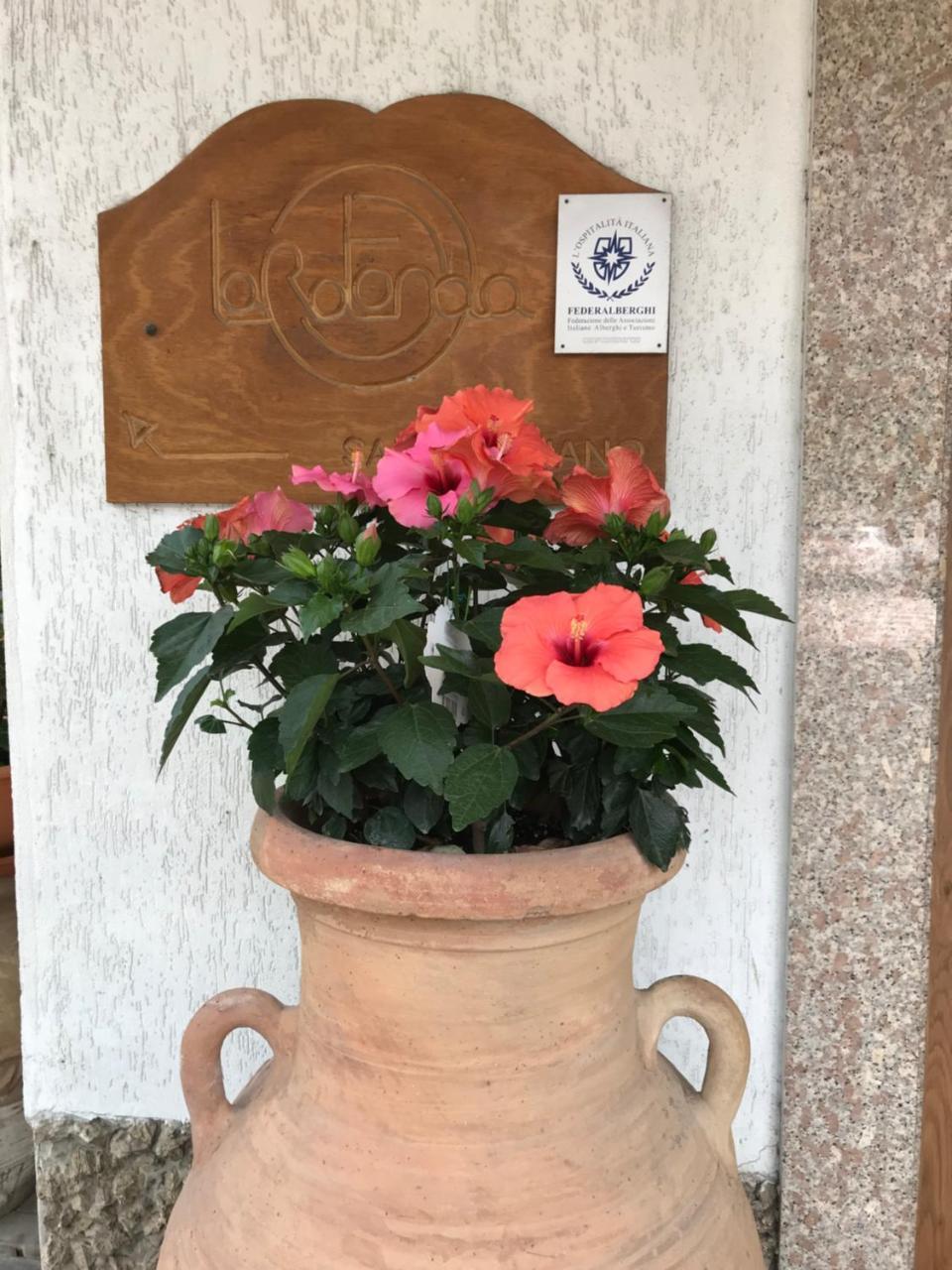 Hotel La Rotonda Cepagatti Екстериор снимка